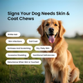 Skin &amp; Coat Chews