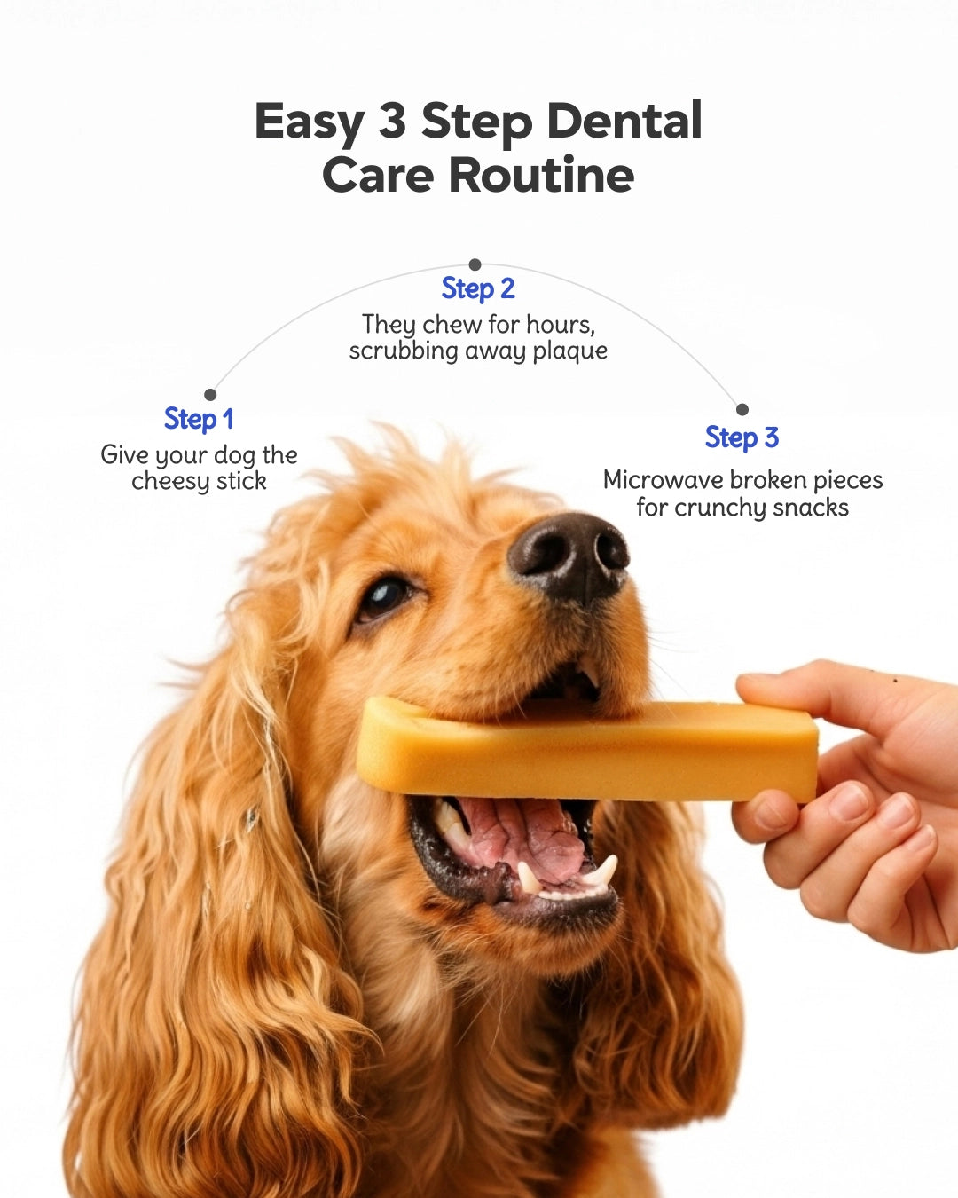 Cheese Dental Cleansing Stick