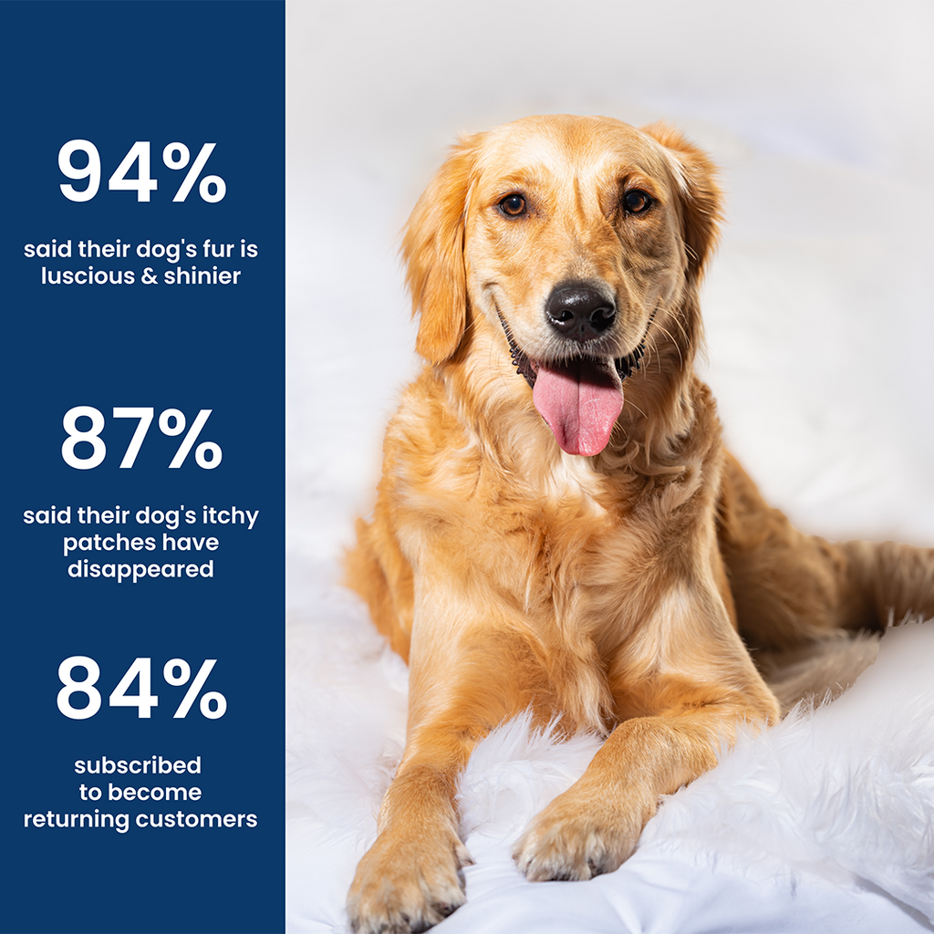 Skin &amp; Coat Chews